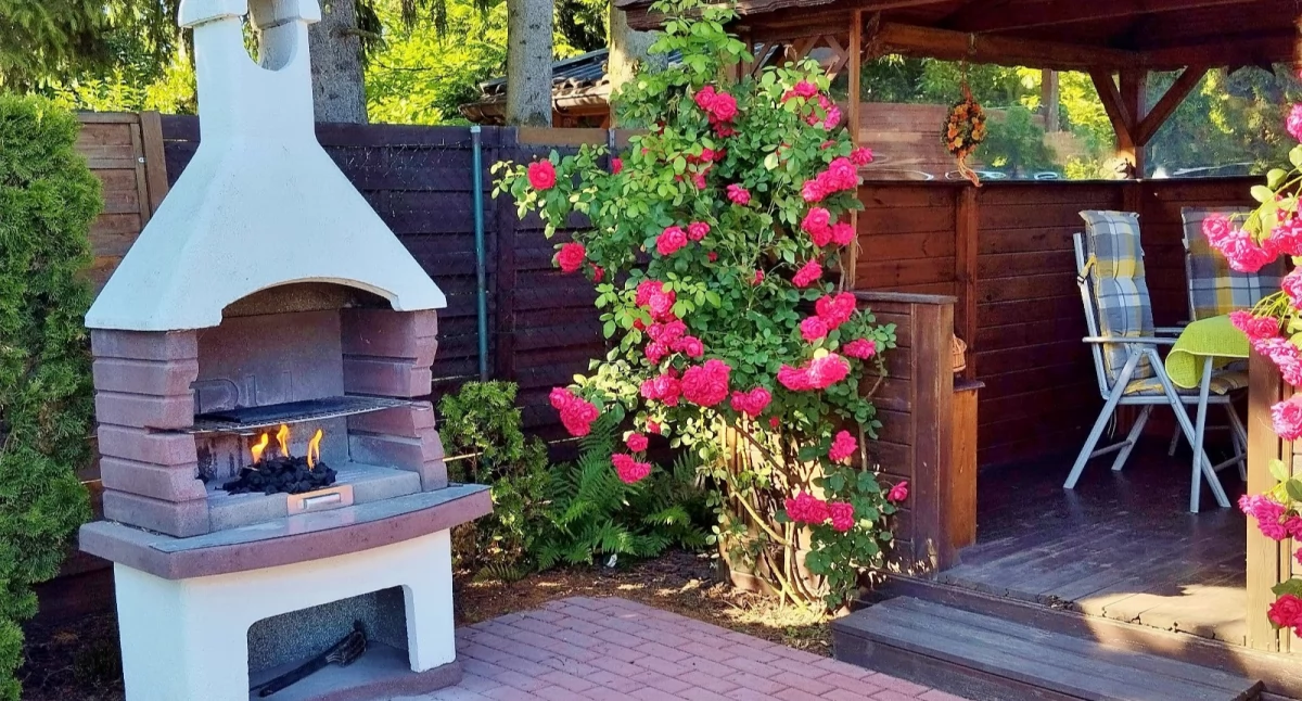 Ogródek Marka Łukaszuka - nr 6