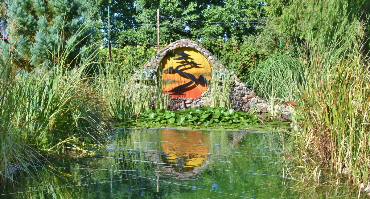 Ogródek Edyty Głowacz - nr 9
