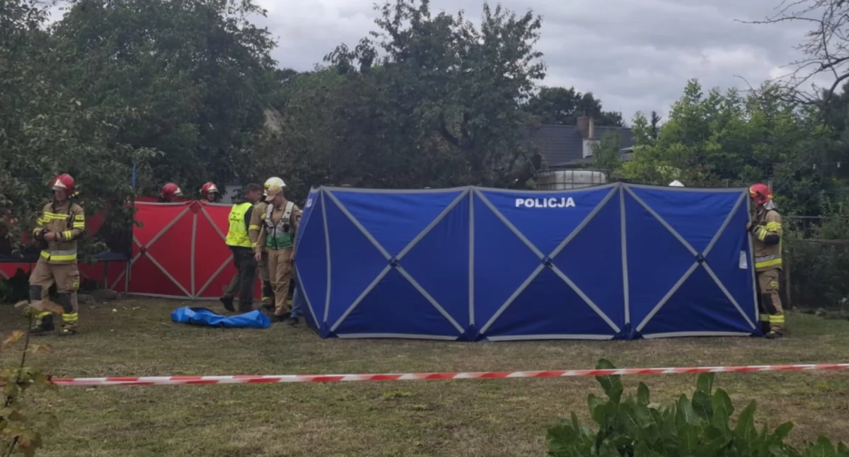 Wypadek awionetki w Krzycku Wielkim. Zginęły dwie osoby [ZDJĘCIA]