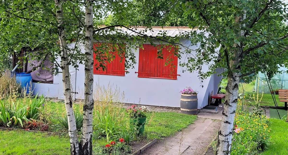 Ogródek Moniki Bibrowskiej - nr 18