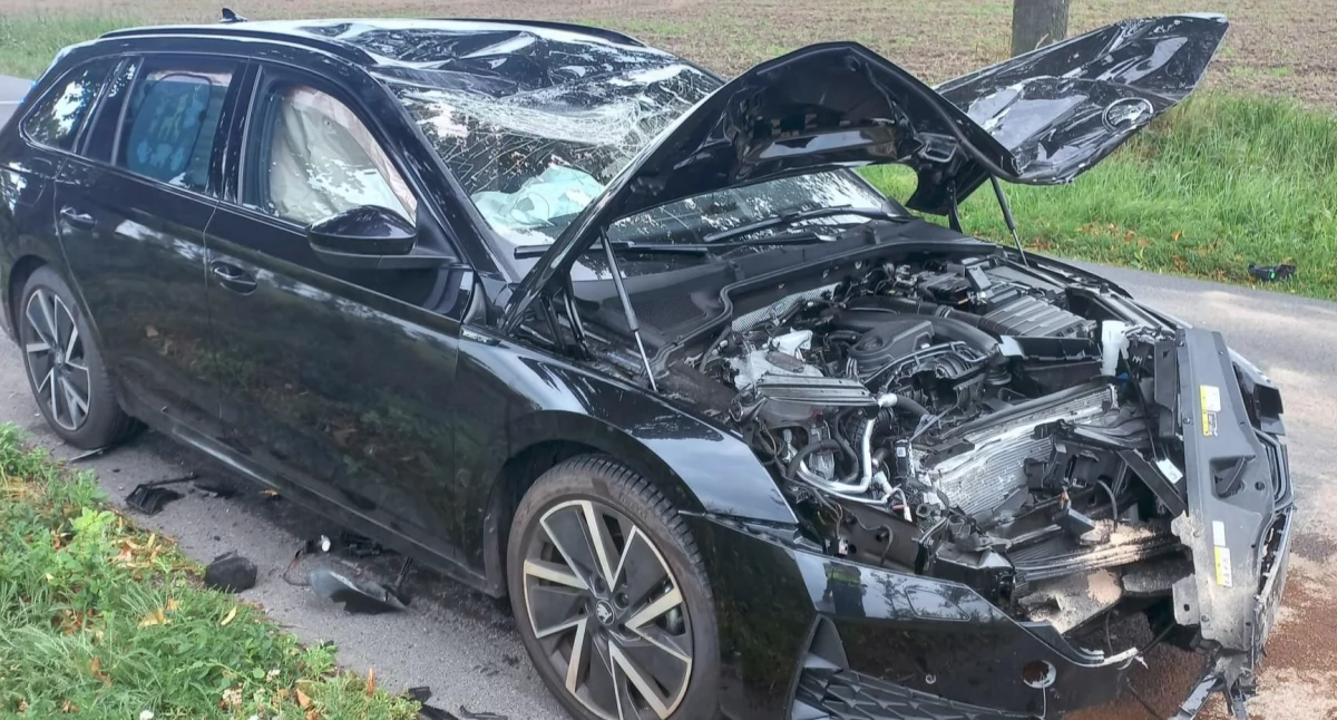 Poważny wypadek pomiędzy Starym Gołębinem i Turwią [ZDJĘCIA]