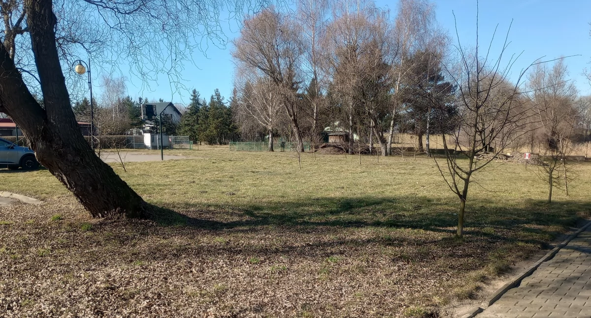 Ponad 240 nowych roślin w DPS w Mościszkach