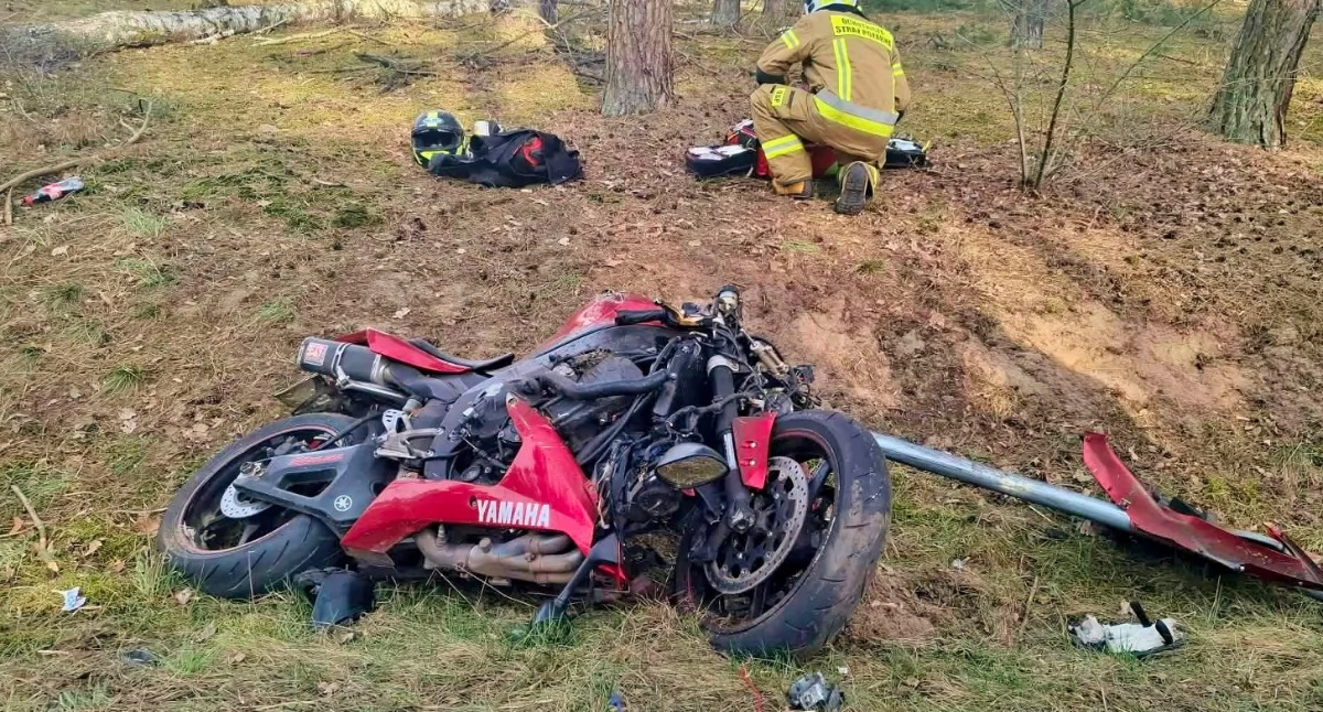 Zderzenie motocyklisty z sarną. Zwierzę nie przeżyło [ZDJĘCIA]
