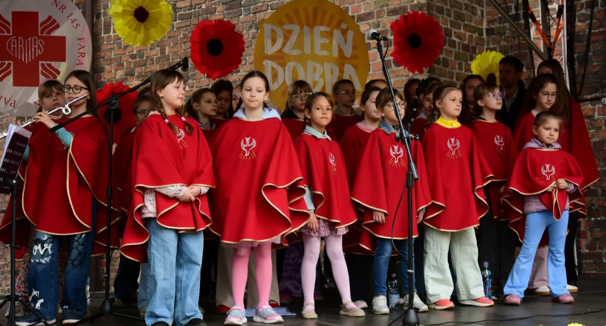 Kolejny udany Dzień Dobra w Kościanie [ZDJĘCIA]