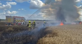 Pożar zboża na pniu koło Ignacewa!