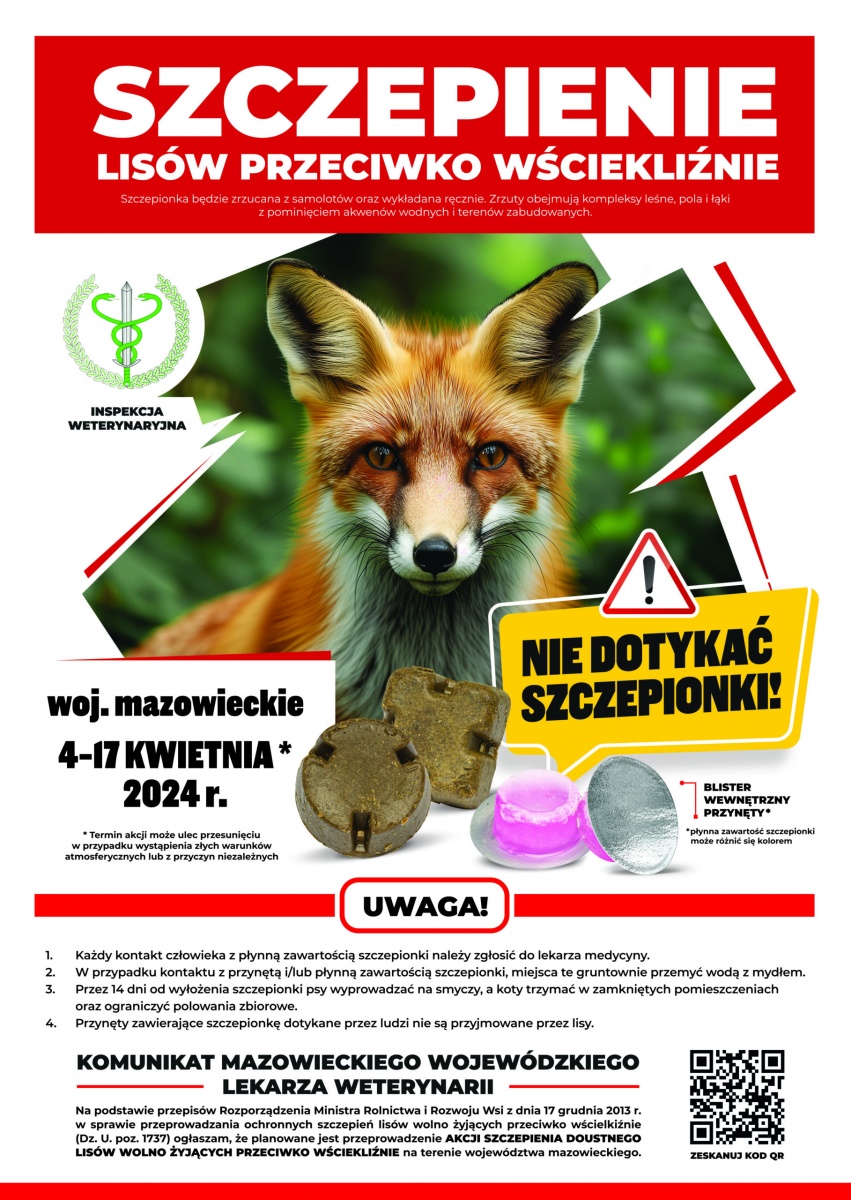 Wiosenna akcja szczepienia lisów na terenie województwa mazowieckiego