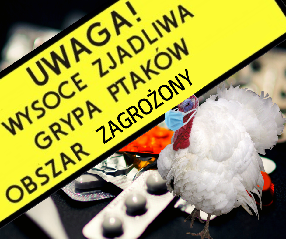 Rozporządzenie w sprawie zwalczania wysoce zjadliwej grypy ptaków (HPAI) w województwie mazowieckim