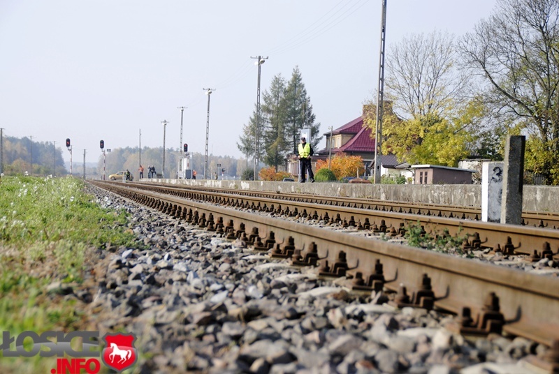 Program przystankowy – dostępniejsza kolej w Niemojkach