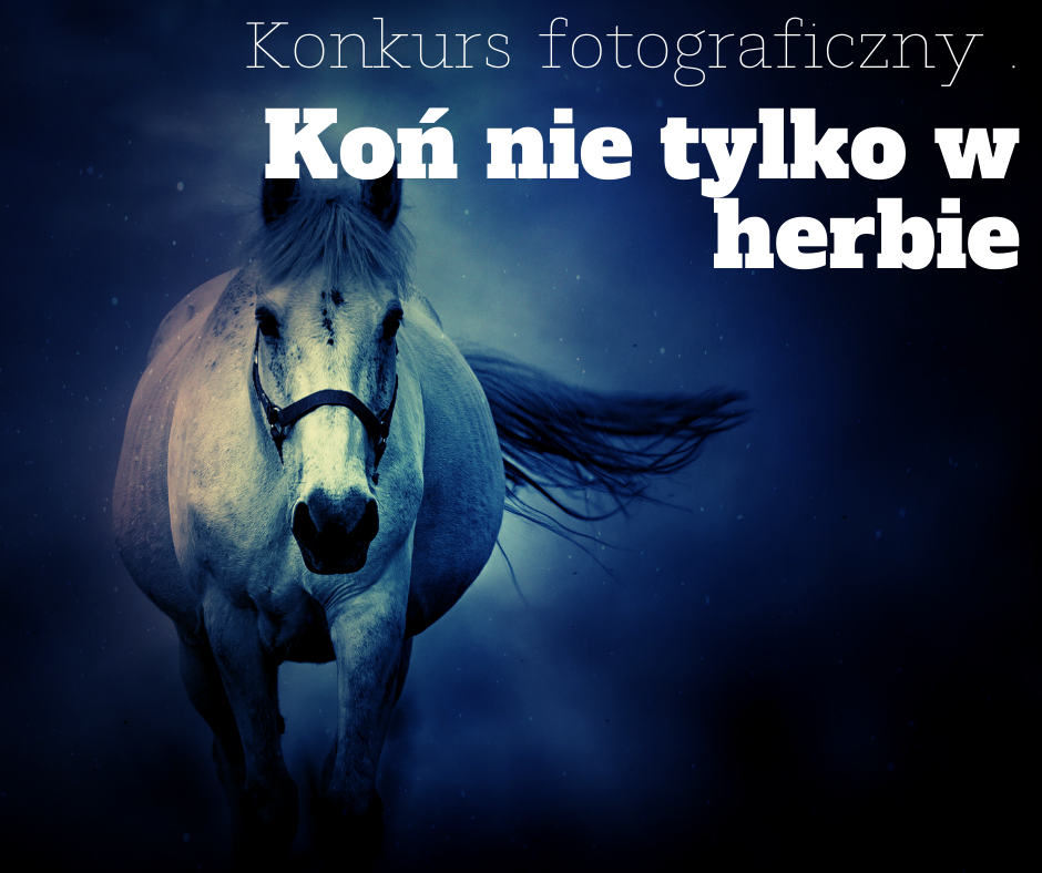Koń nie tylko w herbie - konkurs fotograficzny