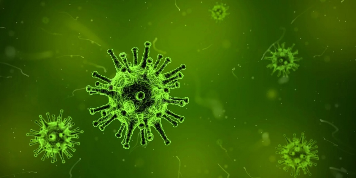 51 osób objętych nadzorem epidemiologicznym