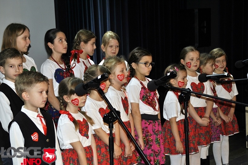 Nabór do sekcji instrumentalnej zespołu Mała Ziemia Łosicka