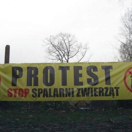 Spotkanie na temat spalarni drobiowych odpadów produkcyjnych w Popławach