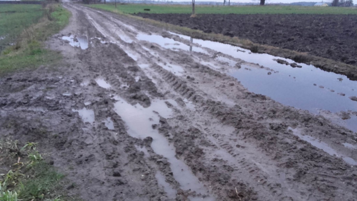 Wójt przecież nie gryzie i drogę podsypie
