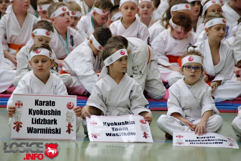 Święto Karate