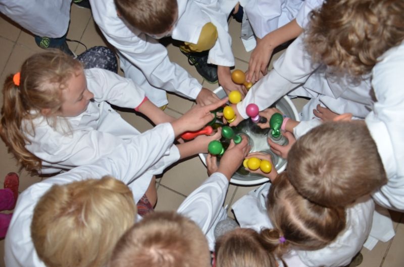 „BORSULAB”  CZYLI  MULTIMEDIALNE WARSZTATY MAŁEGO NAUKOWCA  Odsłona 1