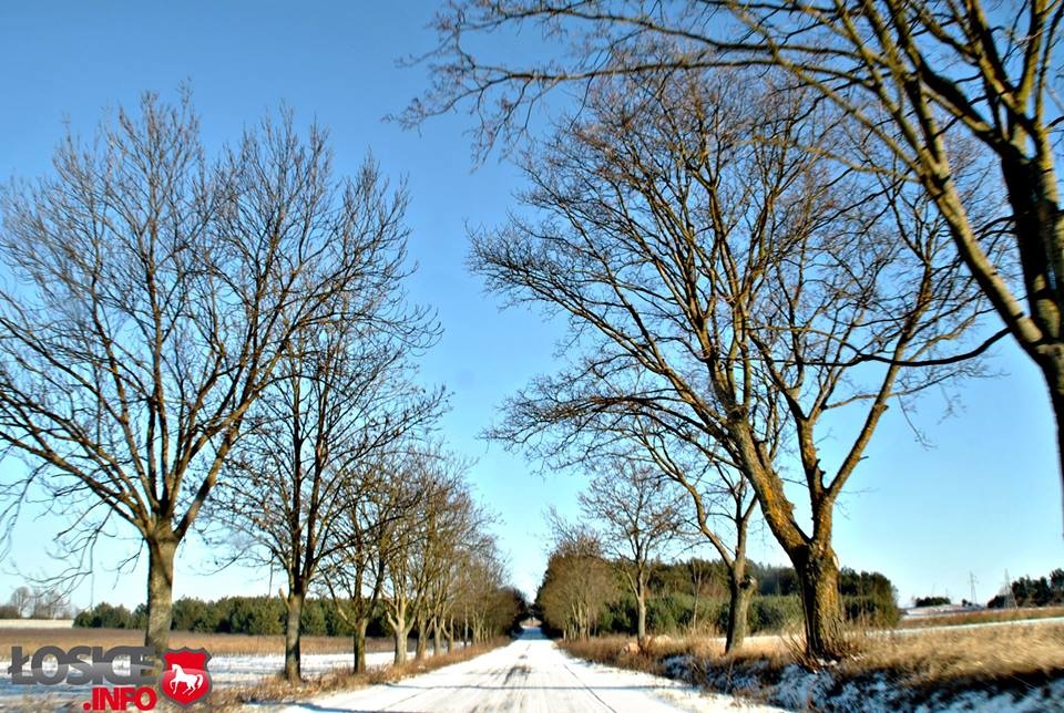 Powstanie ponad 5 km drogi powiatowej Ostromęczyn - Nowa Kornica