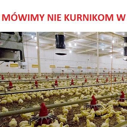 Mieszkańcy Łosic mówią NIE kurnikom