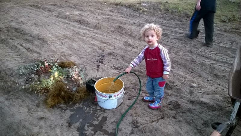 Zielonym do góry czyli kolejny etap projektu w Borsukach