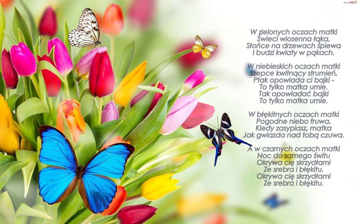 26 maja Dzień Matki