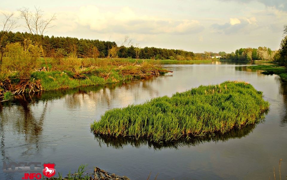 Pieniądze dla Rejonowego Związku Spółek Wodnych w Łosicach