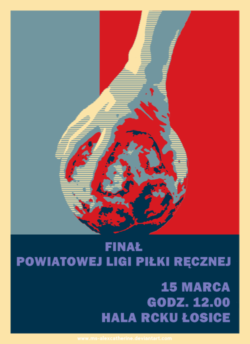 Finał PLPR