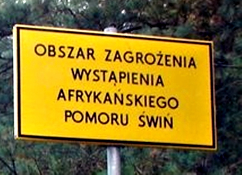 Strefa zagrożenia Afrykańskim Pomorem Świń w Powiecie Łosickim