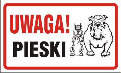 Kto się zajmie tymi psami?