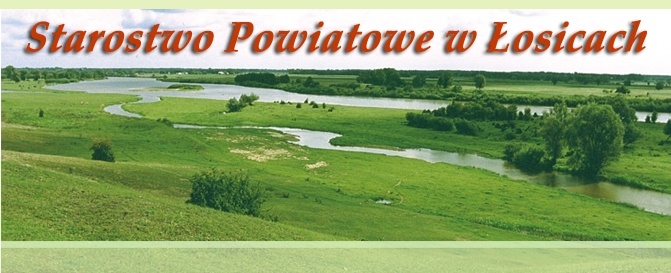 Promocja Powiatu Łosickiego w oczach jego mieszkańców