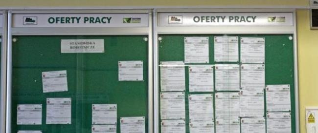 Kolejny projekt Urzędu Pracy w Łosicach- 