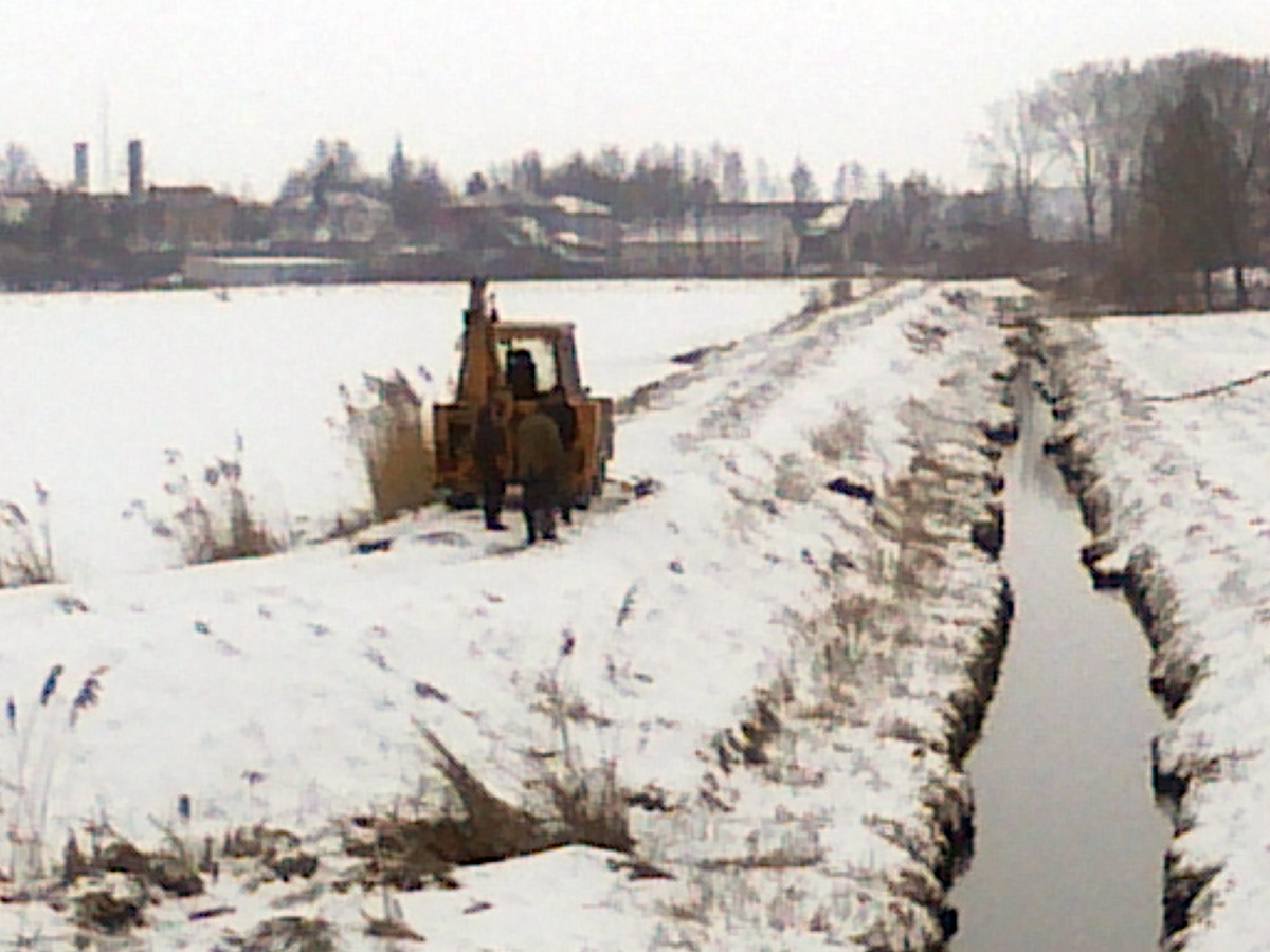 Bobry drążą tunel