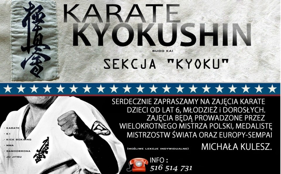 Karate Mistrz
