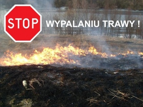 NIE WYPALAJMY TRAW - APEL WOJEWODY MAZOWIECKIEGO