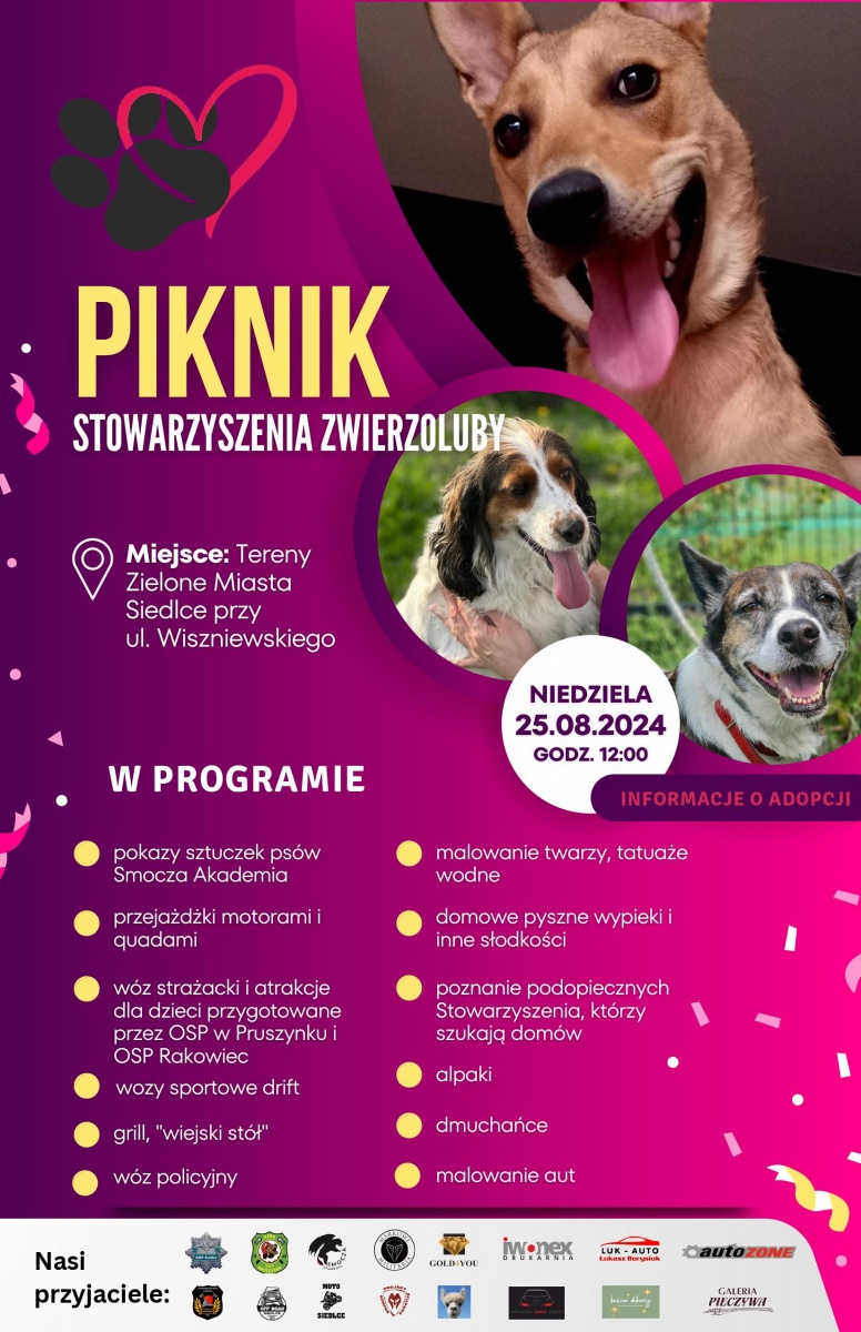 Przyjdź na piknik i dowiedz się więcej o adopcji zwierząt!