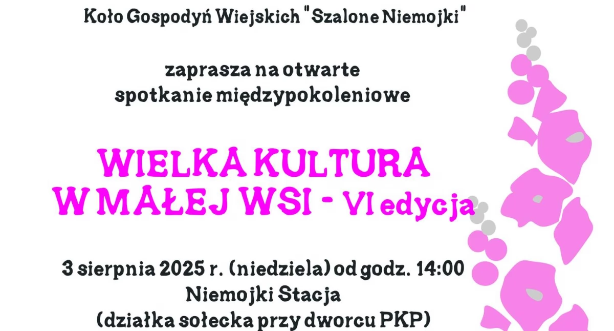 Kultura, która integruje. Szósta edycja plenerowego wydarzenia w Niemojkach