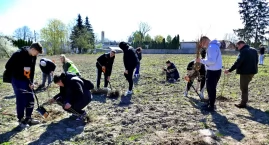Łosice mają swój „Bukowy Las”. Wspólnie posadzono 500 młodych drzew