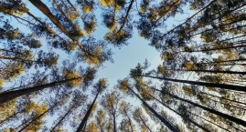 Trzeci quest nad Bugiem. W sobotę otwarcie „Klimatyc&hellip;