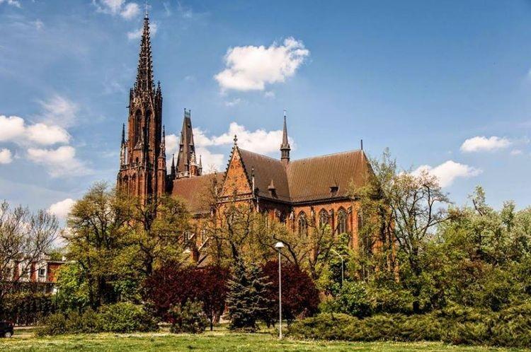 Chcą zazielenić Ołbin. Spotkają się, by o tym porozmawiać