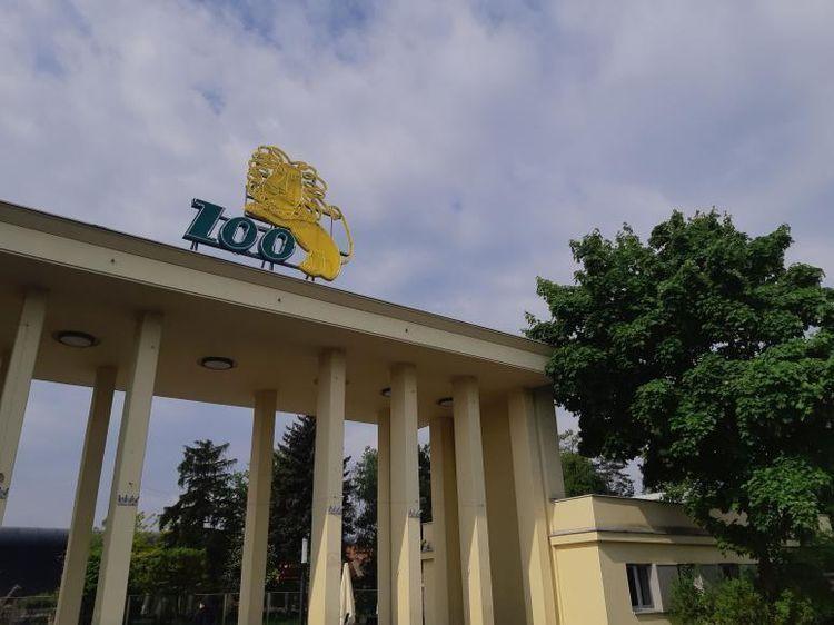 Ekostraż oskarża byłego dyrektora wrocławskiego zoo. Podczas interwencji zabrali zwierzę