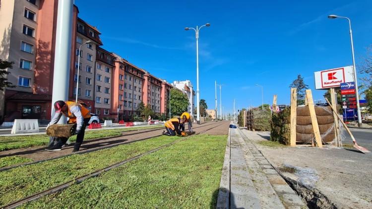 Nowe zielone torowisko we Wrocławiu. Ruszyły prace [ZDJĘCIA]