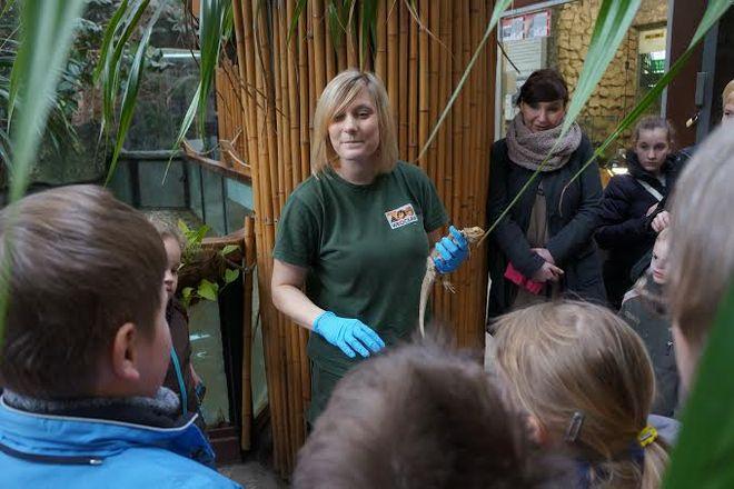 Opiekunowie opowiadają o zwierzakach we wrocławskim ZOO