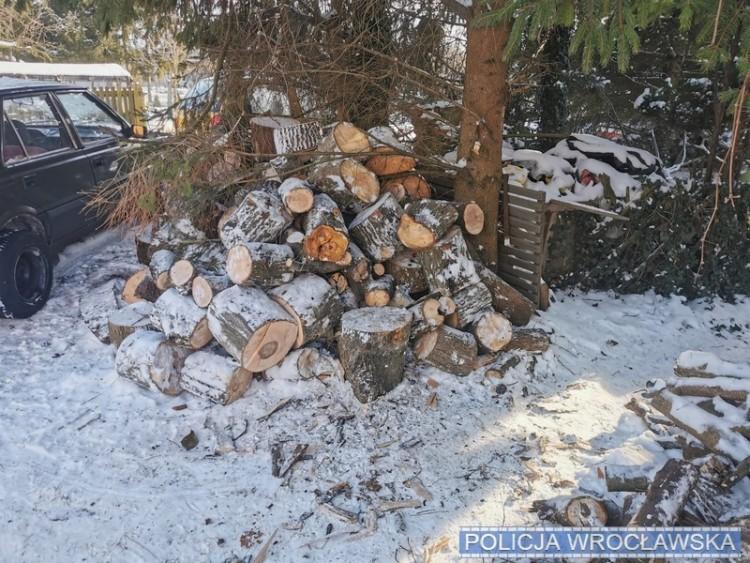 Plaga kradzieży drewna na opał. Lasów pilnują patrole policji