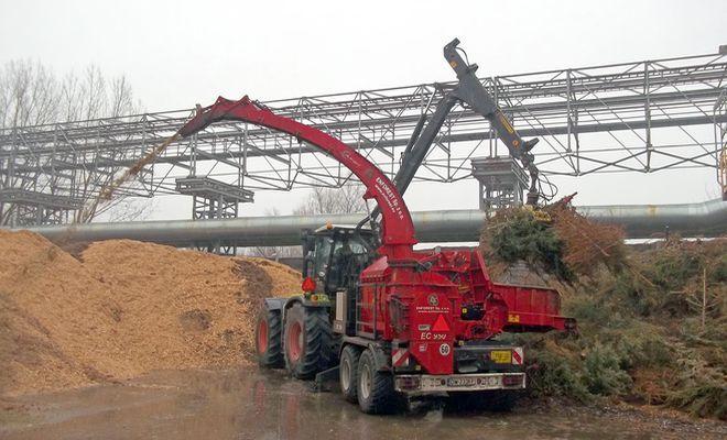 Wrocławianie zebrali kilkanaście ton choinek, które dadzą nam ciepło