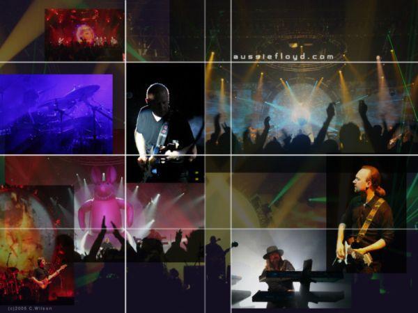 The AustralianPinkFloyd Show w Hali Stulecia