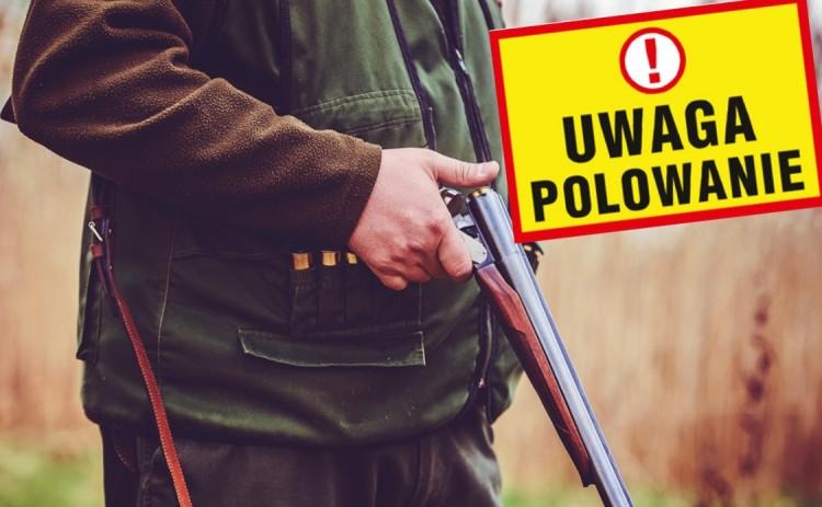 Myśliwi planują weekendowe polowania we Wrocławiu. Gdzie i kiedy będą strzelać? [LISTA OSIEDLI]