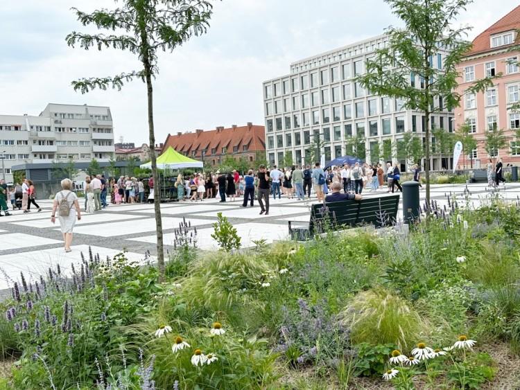 Zazieleniony plac Nowy Targ we Wrocławiu otwarty. Od teraz każdy może tam wejść!