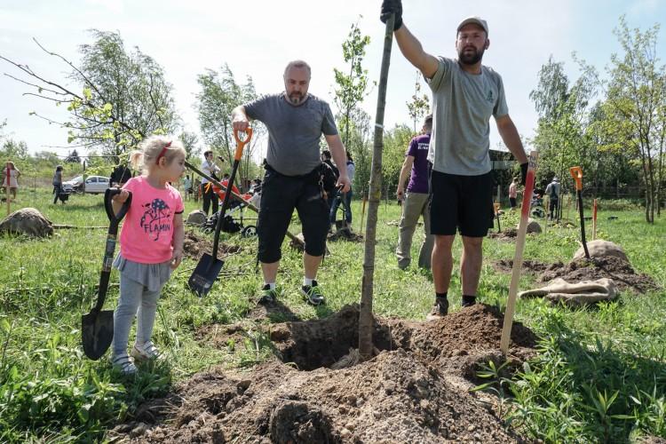 Nowy park we Wrocławiu. Na Oporowie posadzono 200 drzew [ZDJĘCIA]