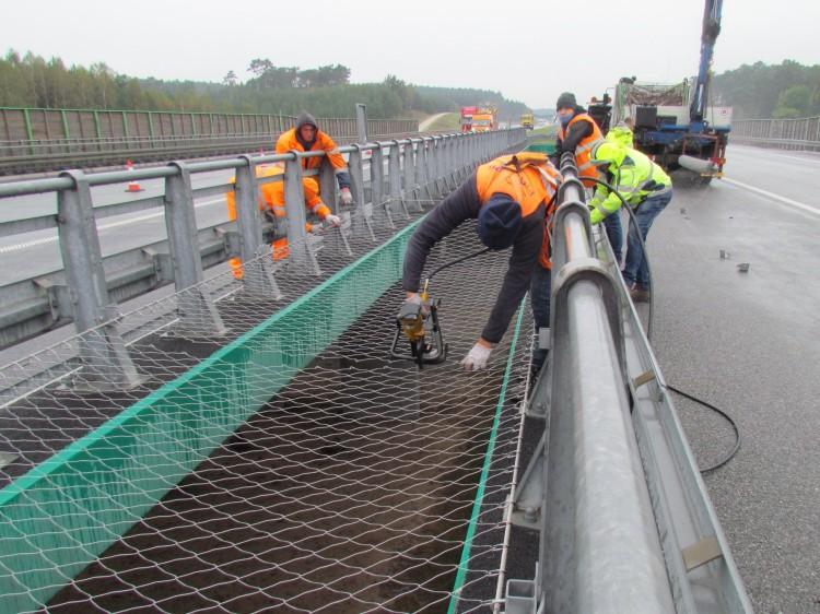 Autostradowa obwodnica Wrocławia: plan utrudnień na czwartek [3.11.2022]