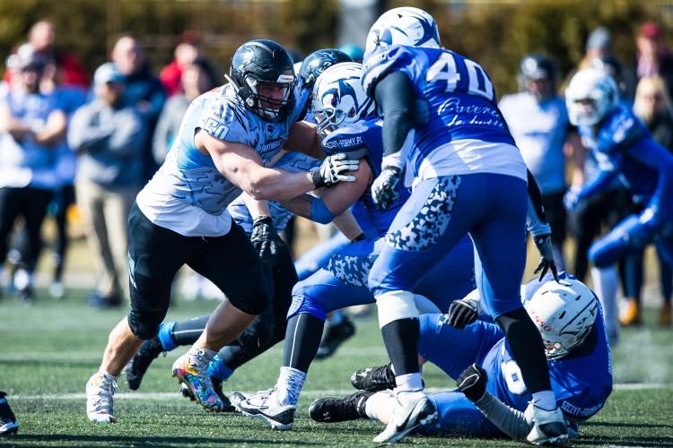 Panthers Wrocław jak New England Patriots? Królewski mecz mistrzów Polski [ZAPOWIEDŹ]