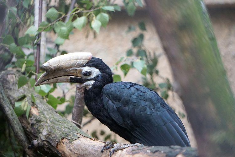 Sensacyjne narodziny we wrocławskim zoo! [ZDJĘCIA]