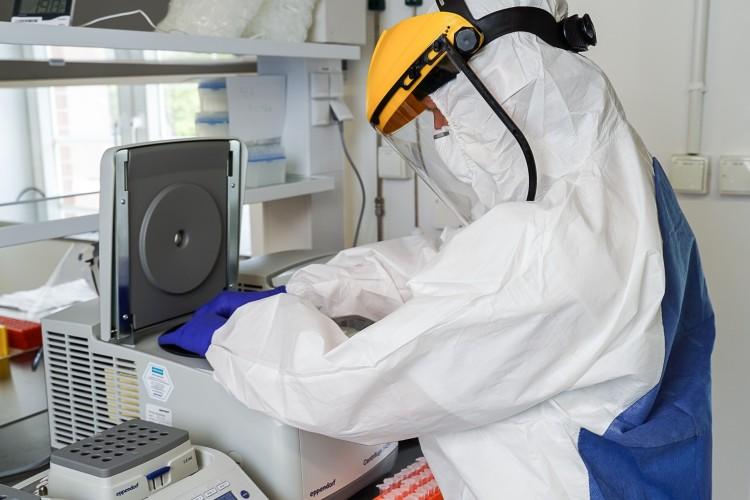 We Wrocławiu będą badane choroby zakaźne. Rząd chce być lepiej przygotowany na kolejne epidemie